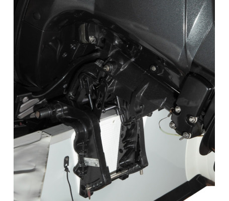 Мотор MARLIN MF 9.9 AMHS