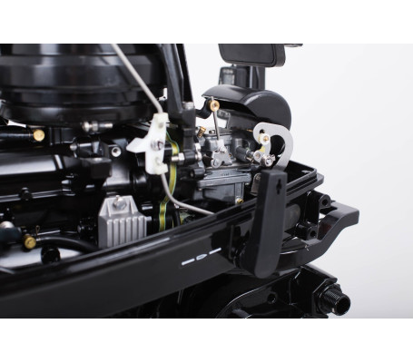 Мотор MARLIN MP 9.9 AWRS Pro Line