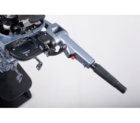 Мотор ОМОЛОН MP 9.9 AWRS Pro