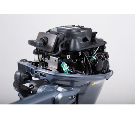 Мотор ОМОЛОН MP 9.9 AWRS Pro