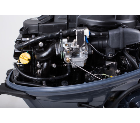 Мотор ОМОЛОН MP 9.9 AWRS Pro